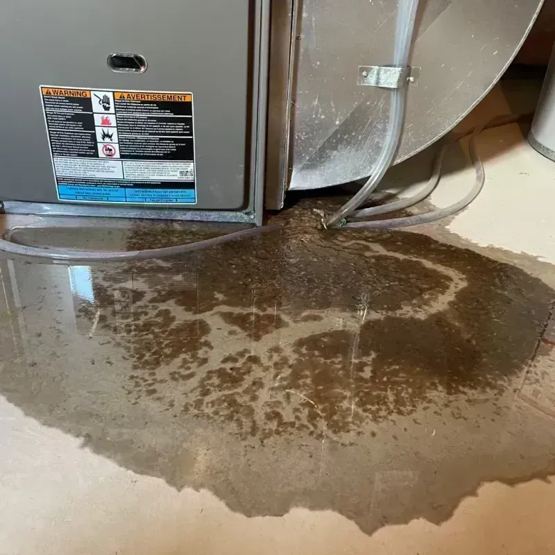 Appliance Leak Cleanup in Stroud, OK